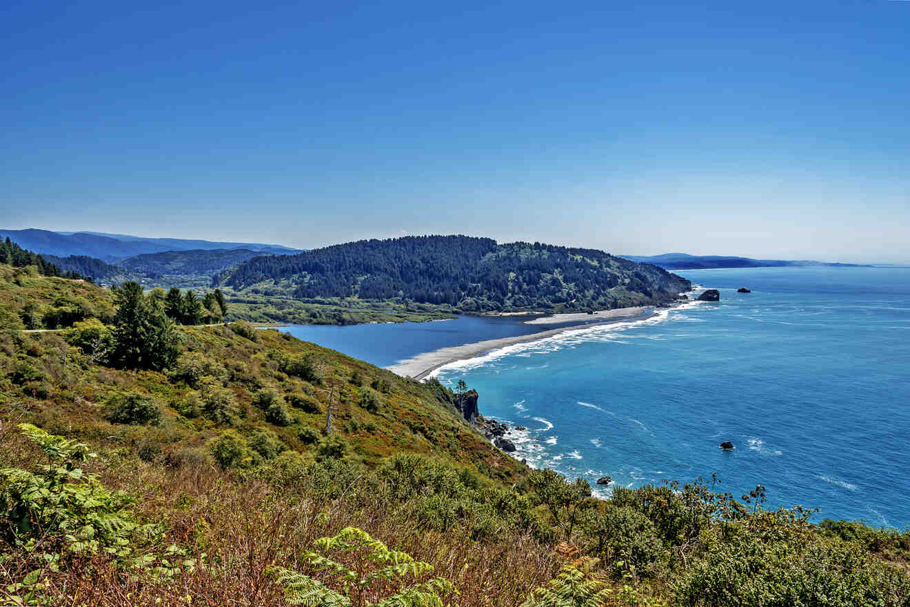 aerial view of a beach