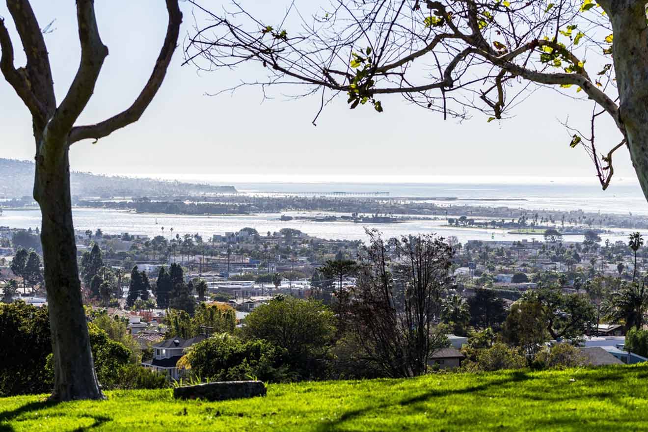 A view of a city and ocean from a grassy hill.