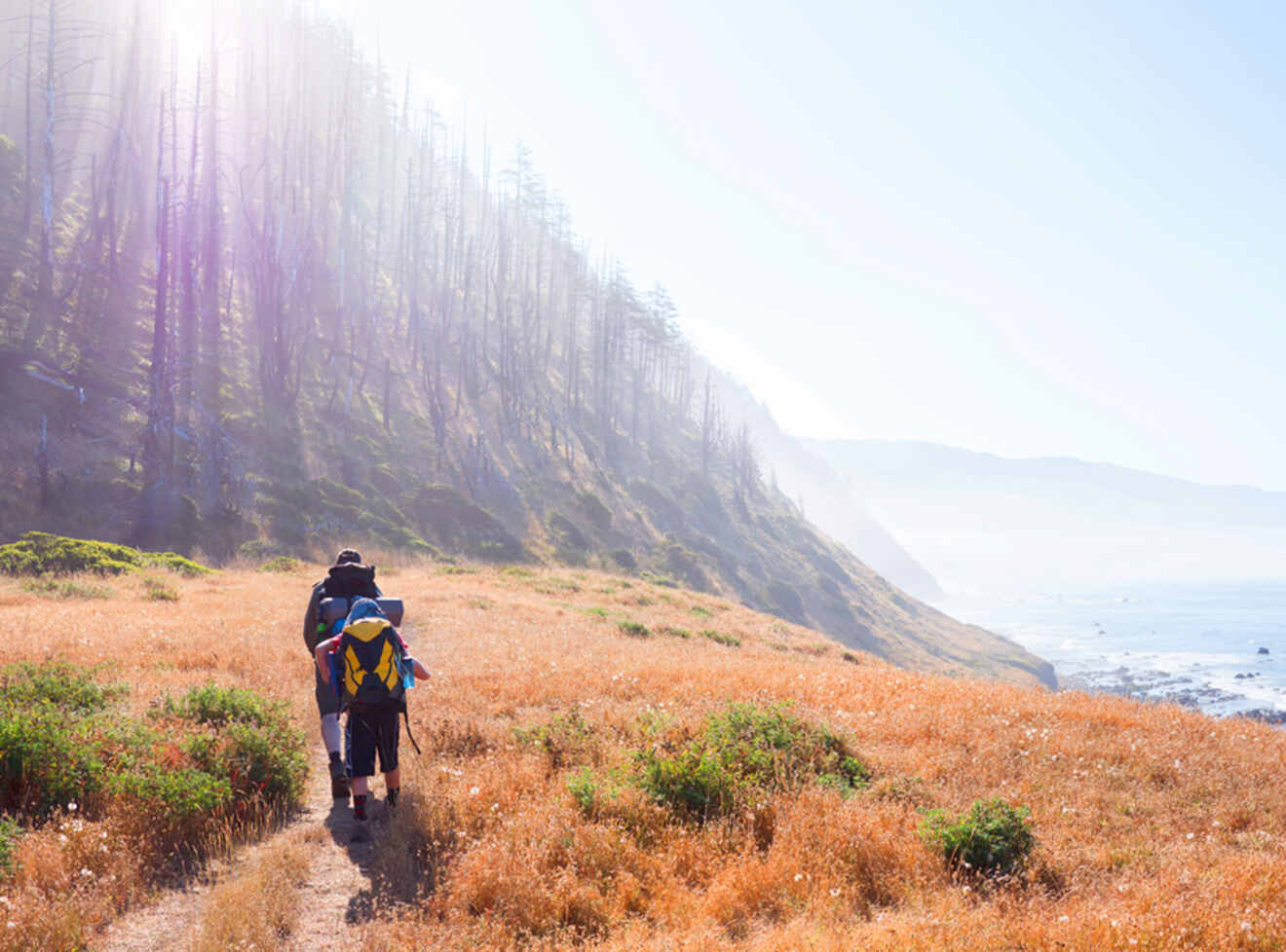 a couple of people walking on a trail among yellow grass