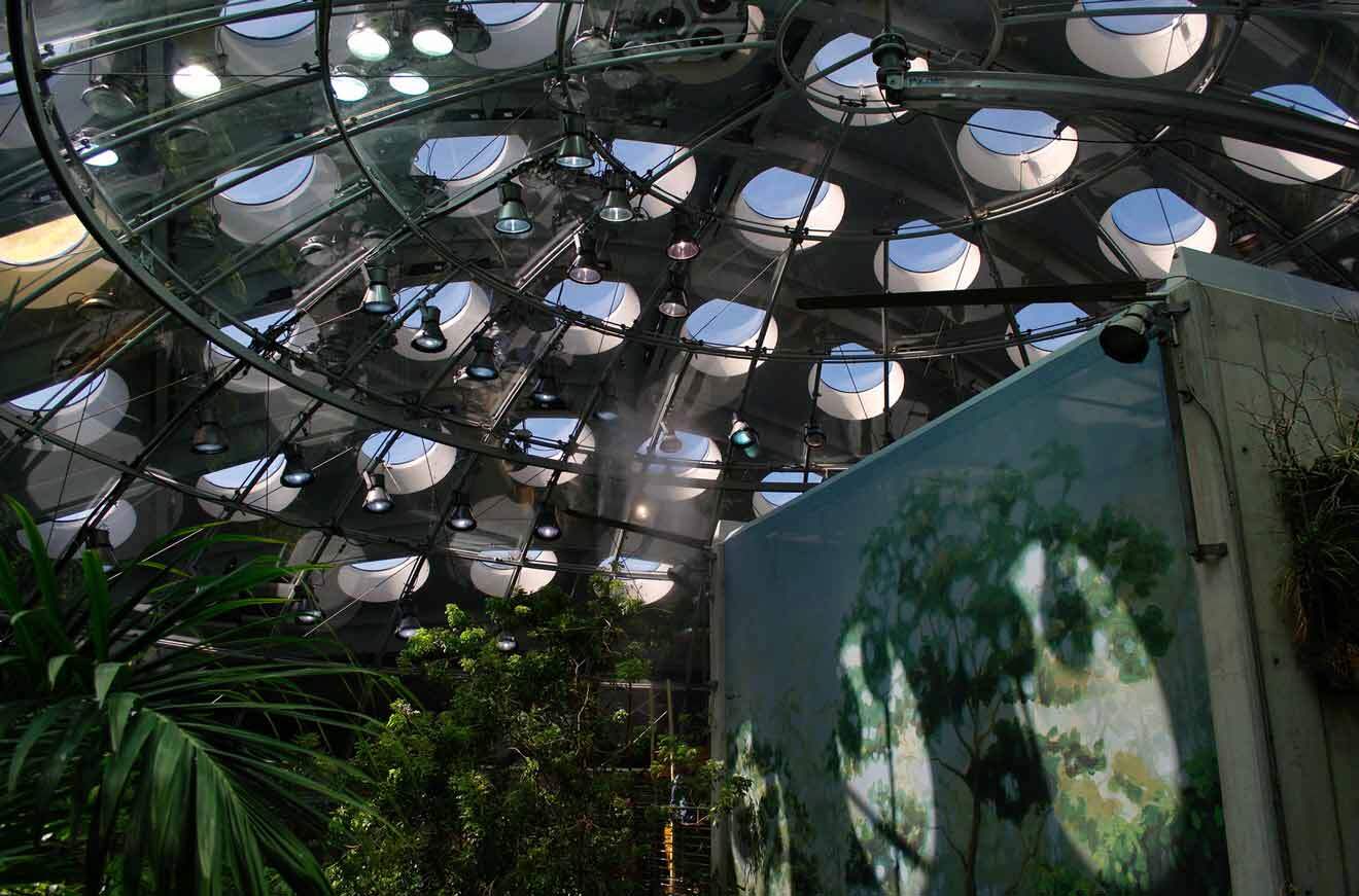 The ceiling of a building with a lot of lights and plants