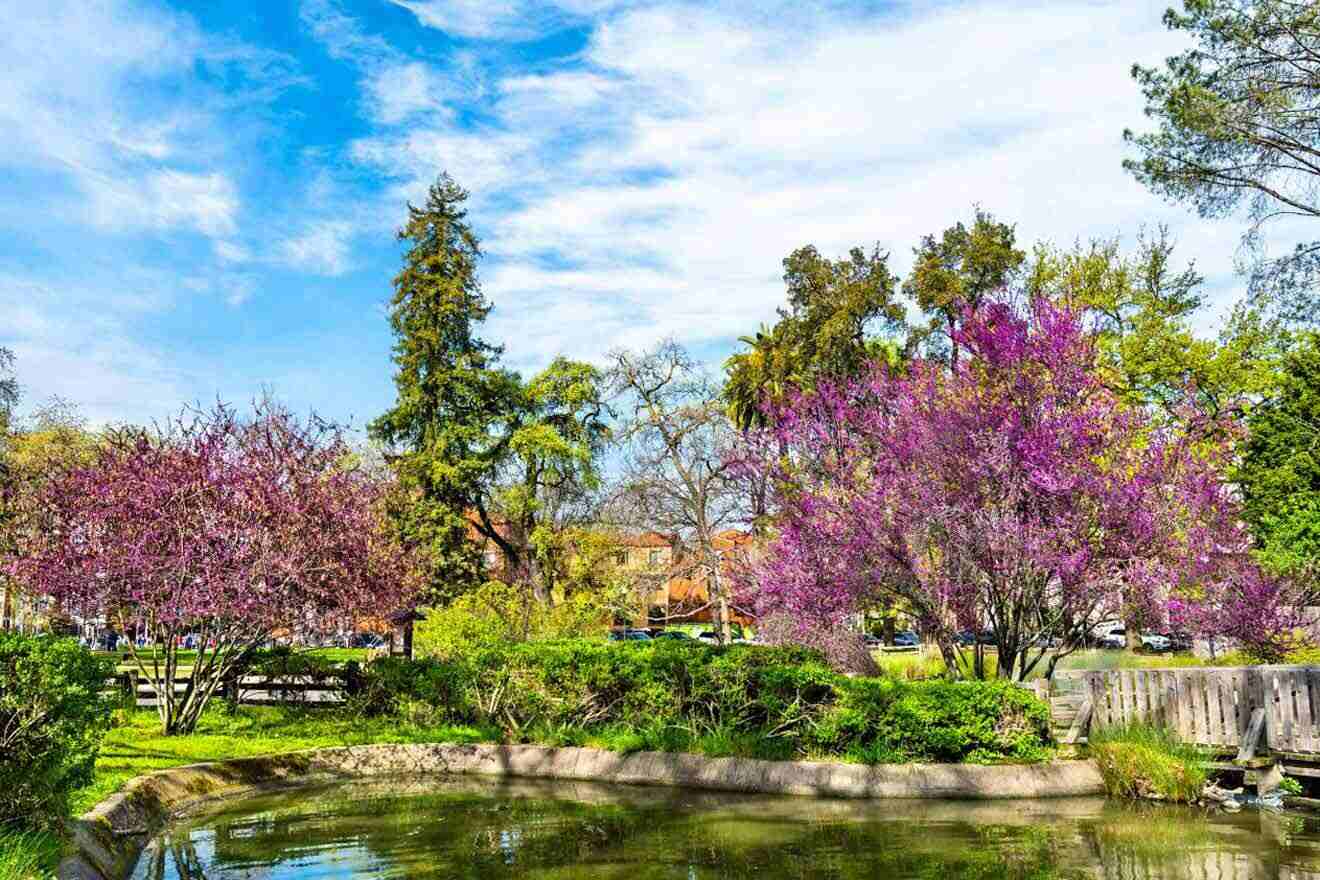 A pond surrounded by trees and flowers.