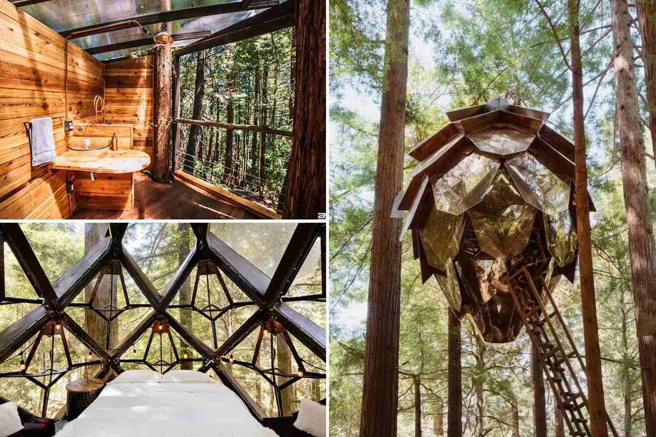 collage of 3 images with: a bed, bathroom with a view and a pinecone treehouse viewed from outside