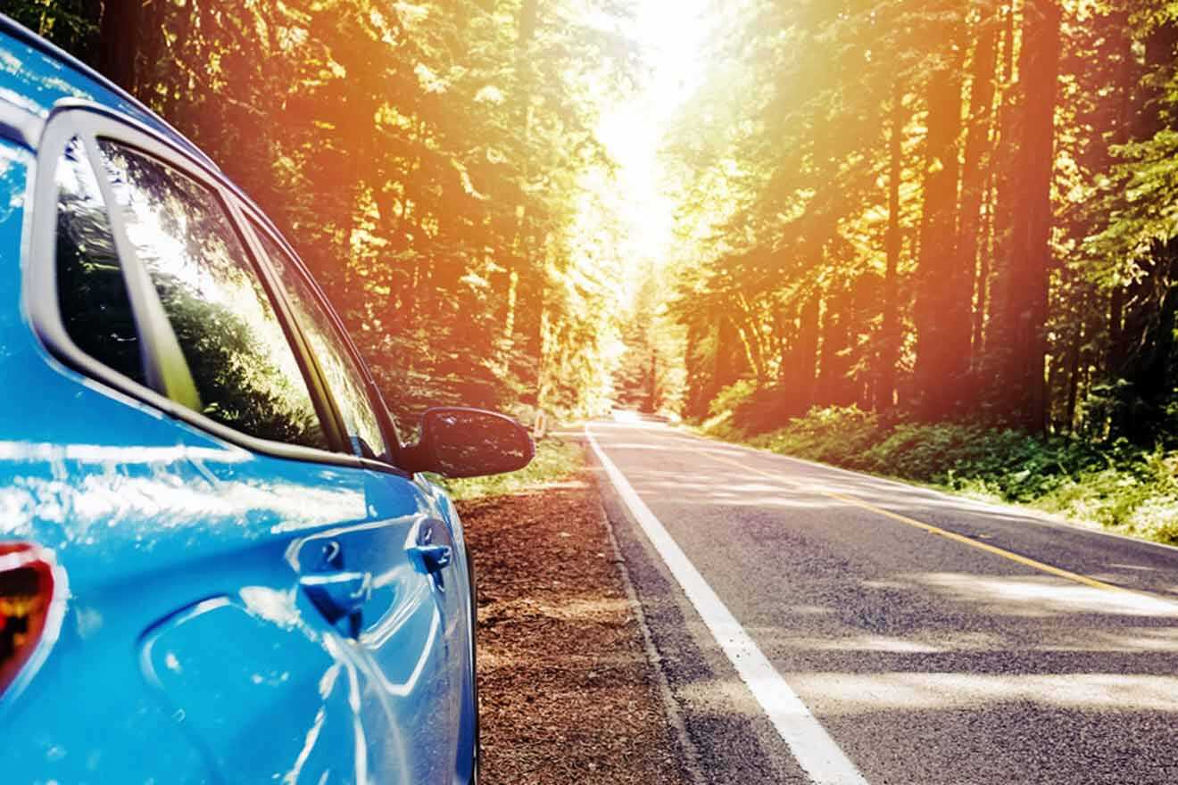 blue car parked by the road in the woods