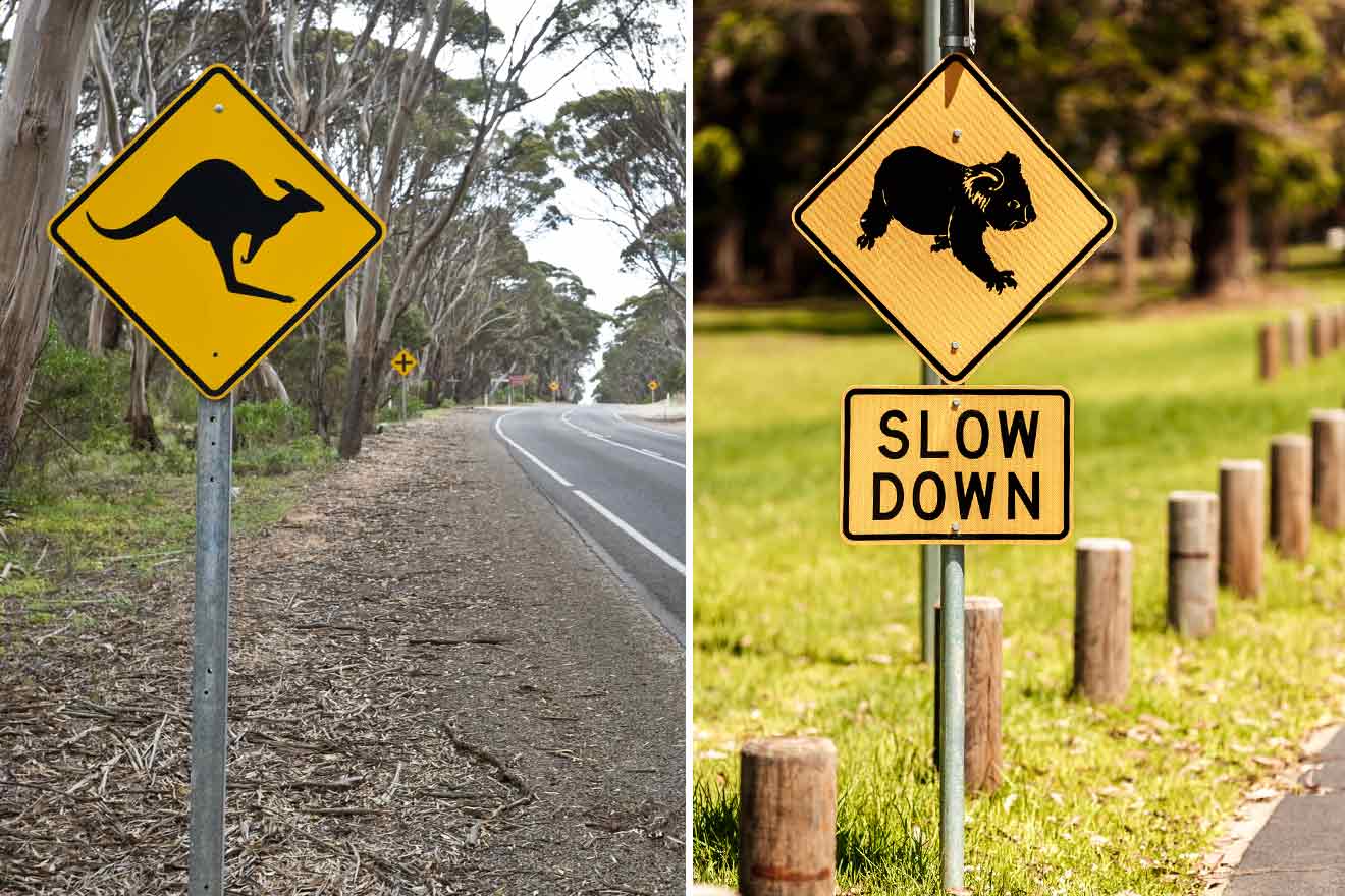 collages of two pictures: yellow sign with kangaroo and koala a road