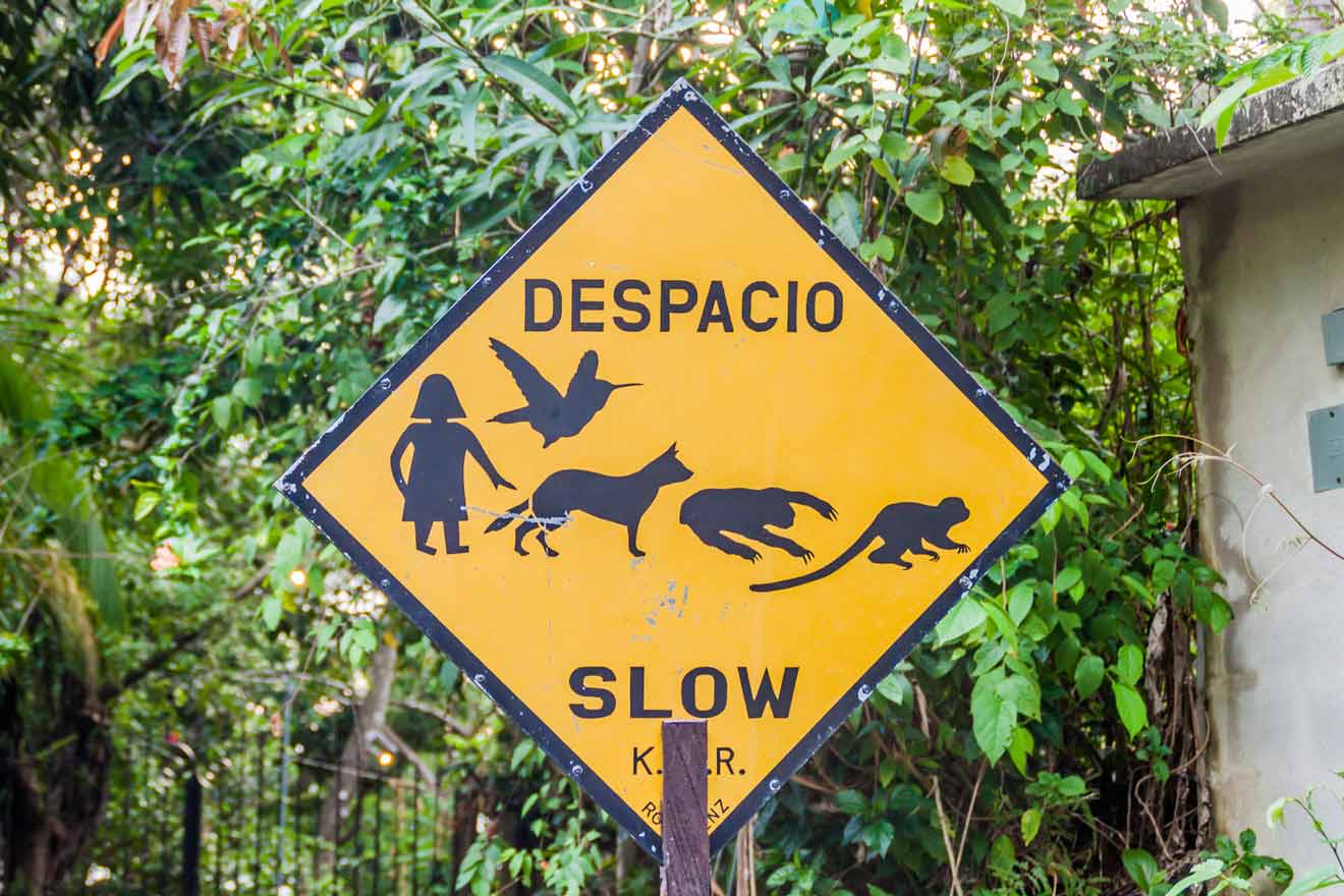 A sign that says despacio slow.
