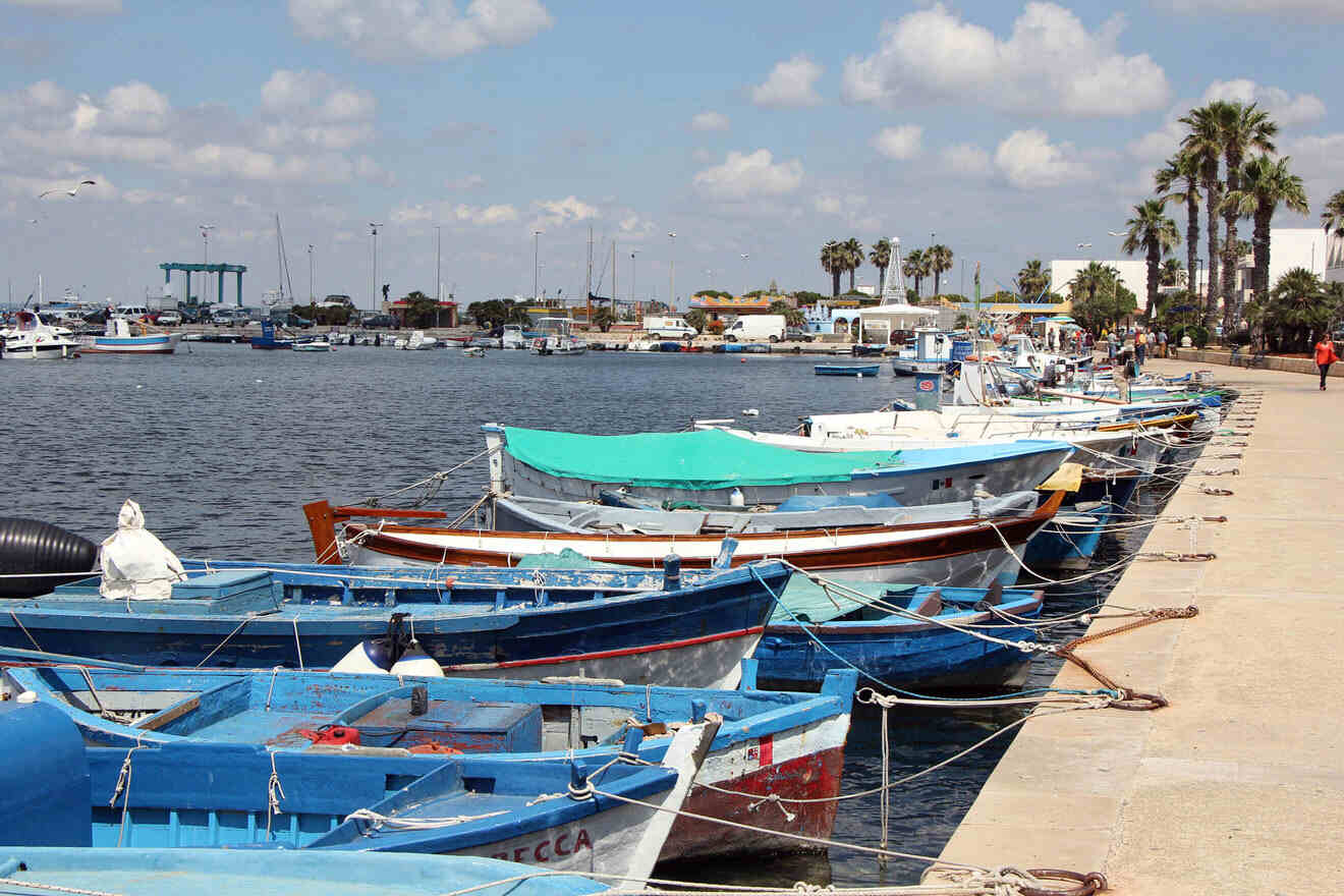 boats parked in a harbor with palm trees in the background