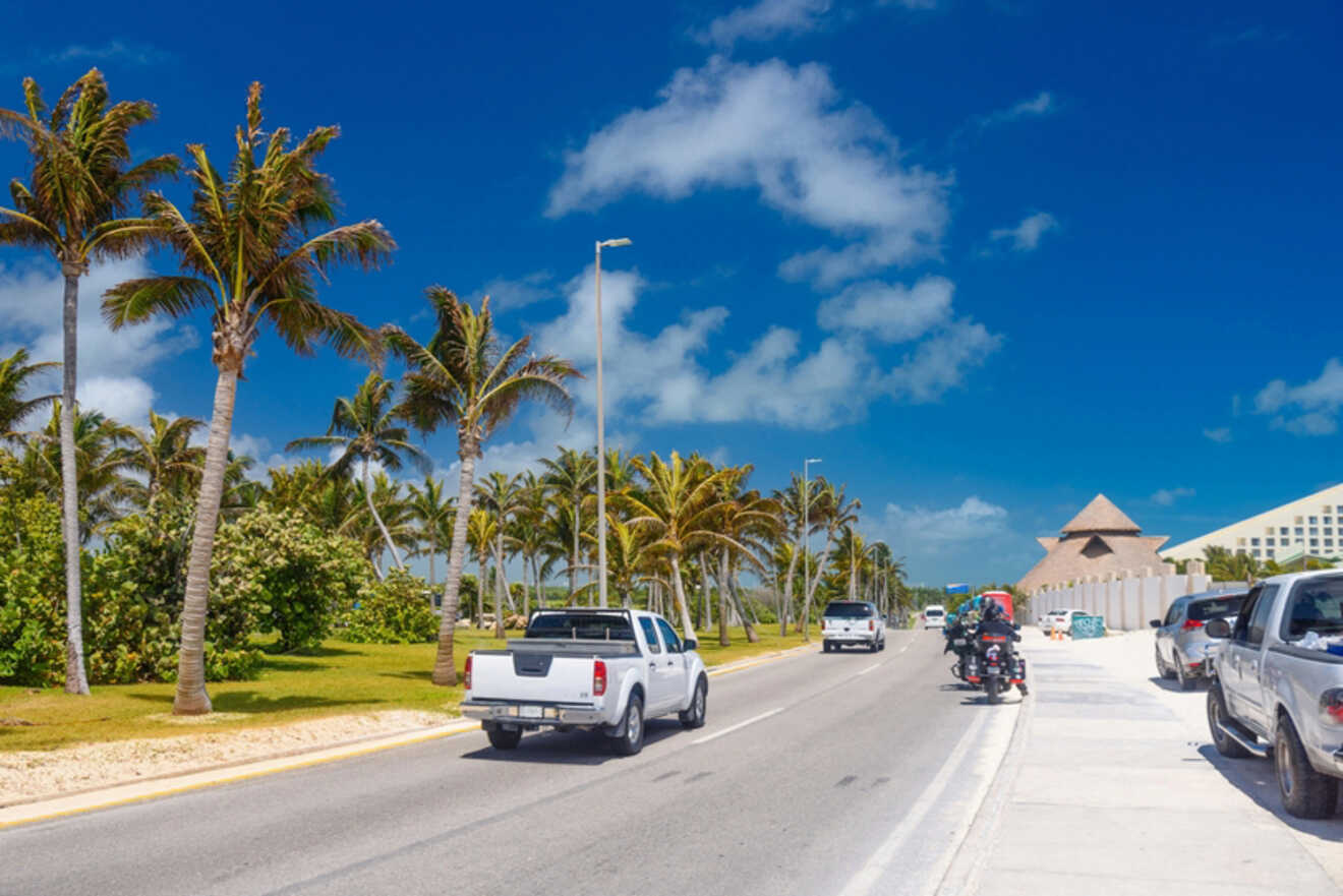 A road lined with palm trees, cars and motorcycles.