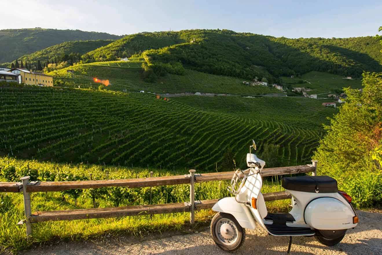 vespa by a vineyard