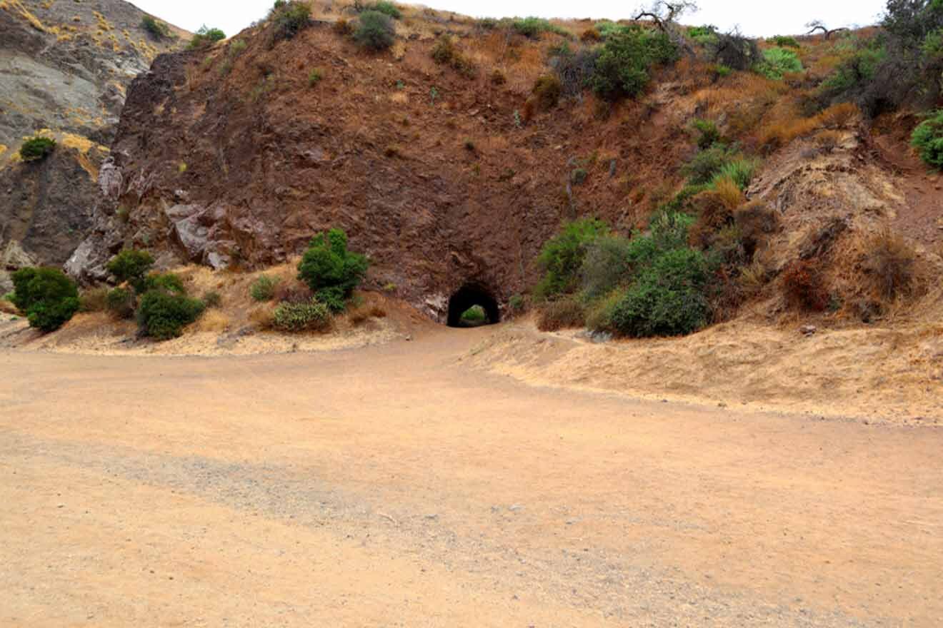 bronson caves