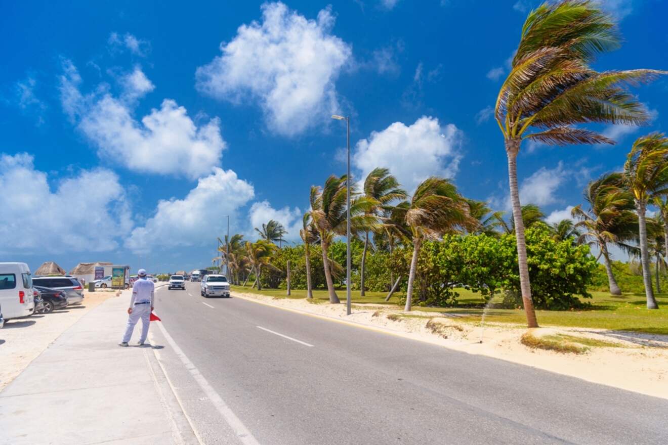 A man is standing on a road next to palm trees.