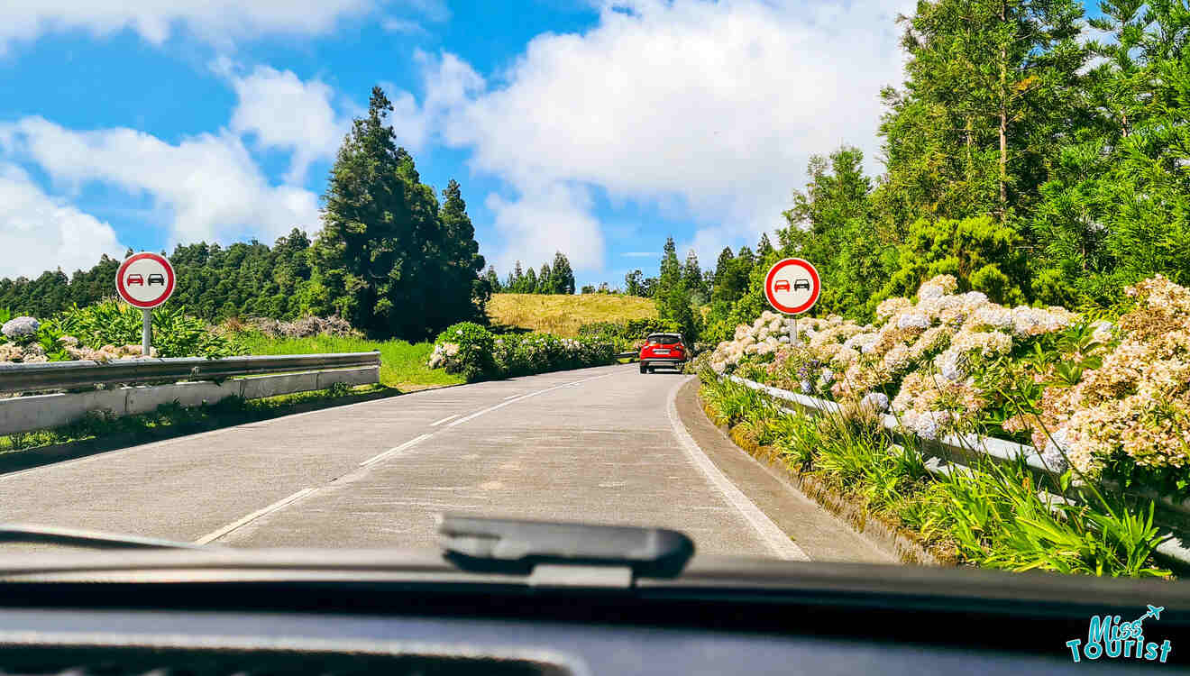 A car driving down a road with flowers in the background.