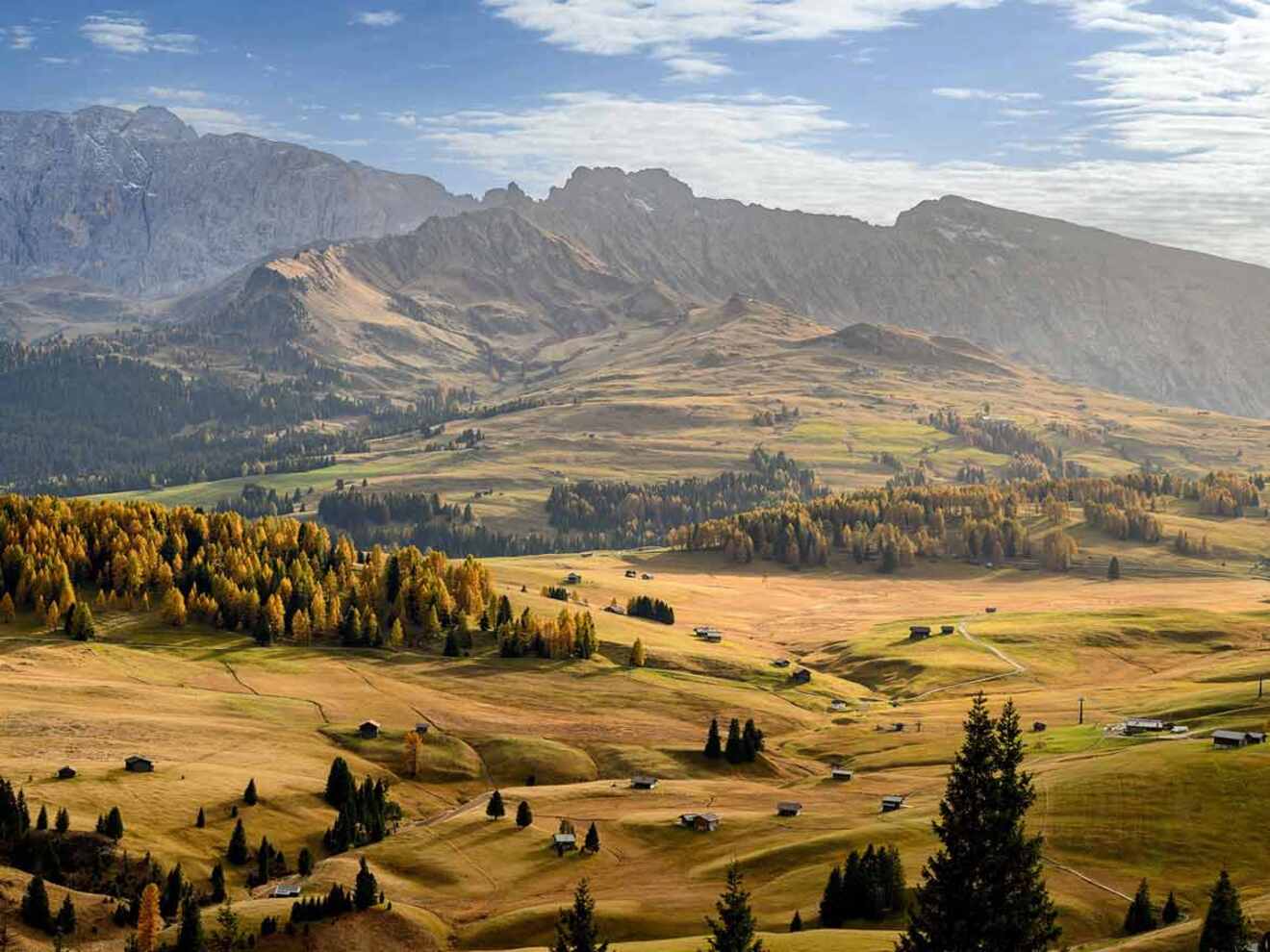 view over a field with mountains and trees