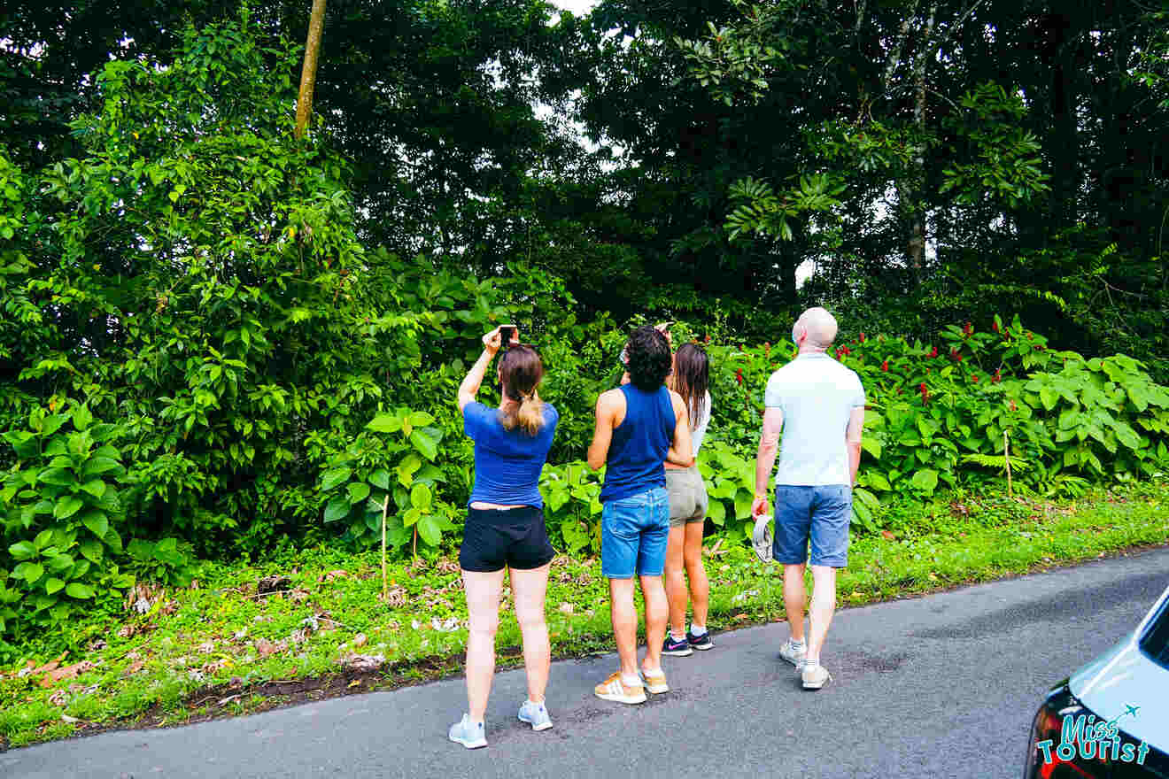 A group of people standing on the side of the road.