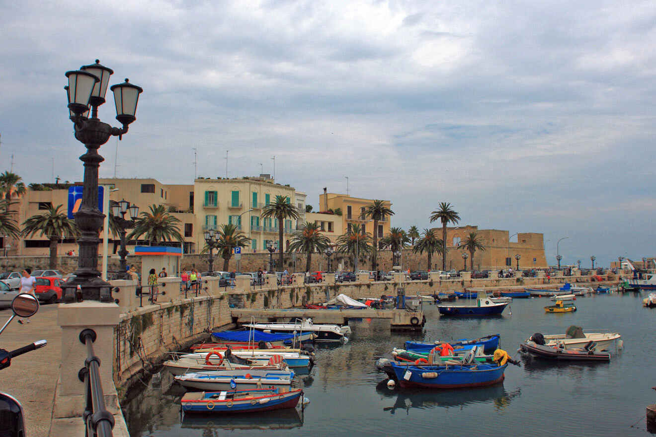 A group of boats docked in a harbor and buildings with palm trees in front of them