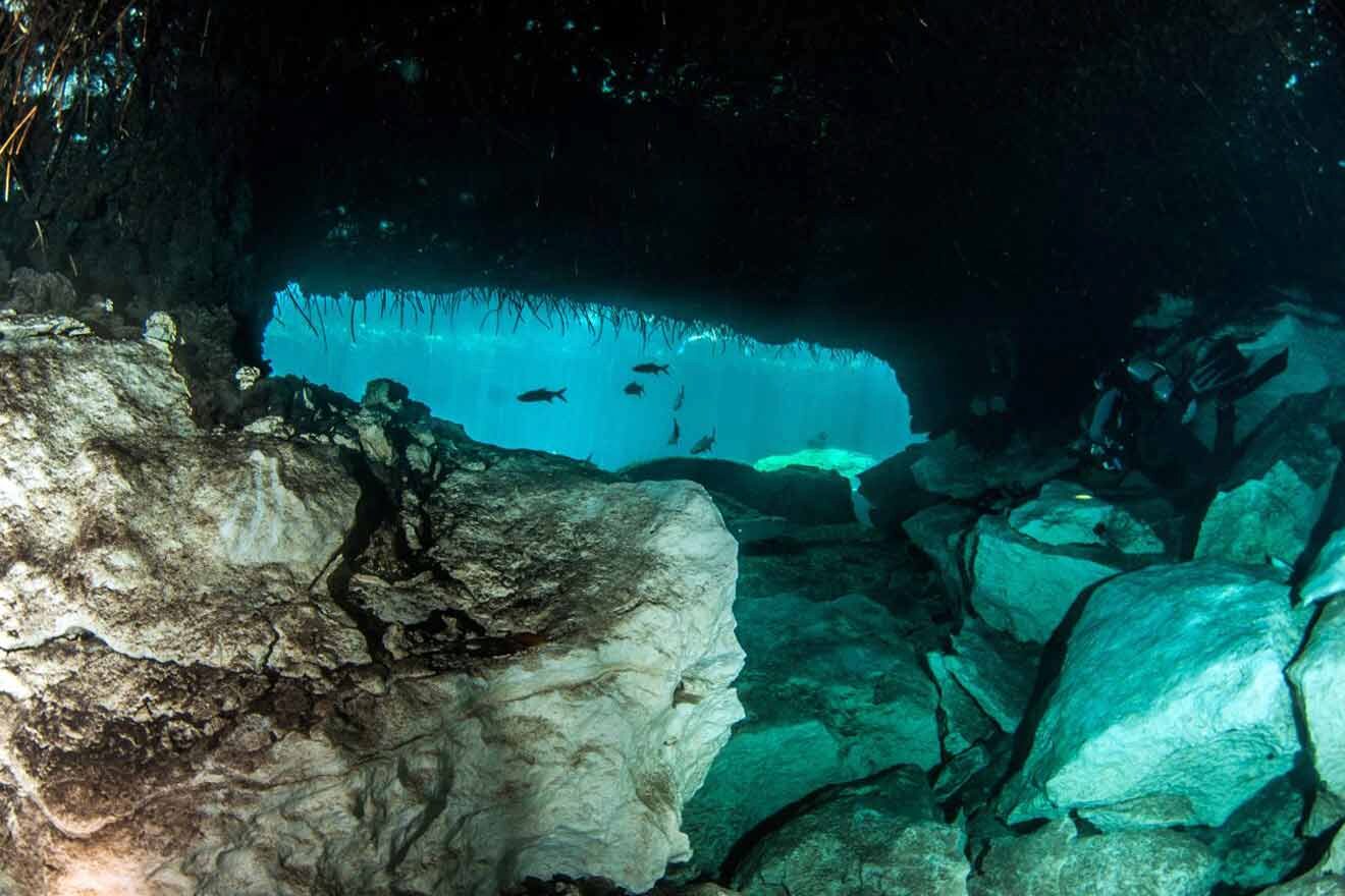 scuba diving in a cenote