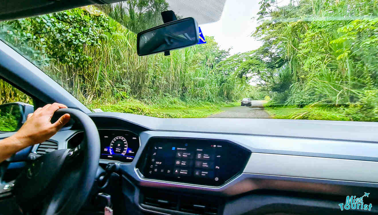 A man driving a car down a road in the jungle.