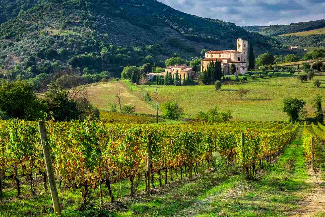 a vineyard with a castle in the background