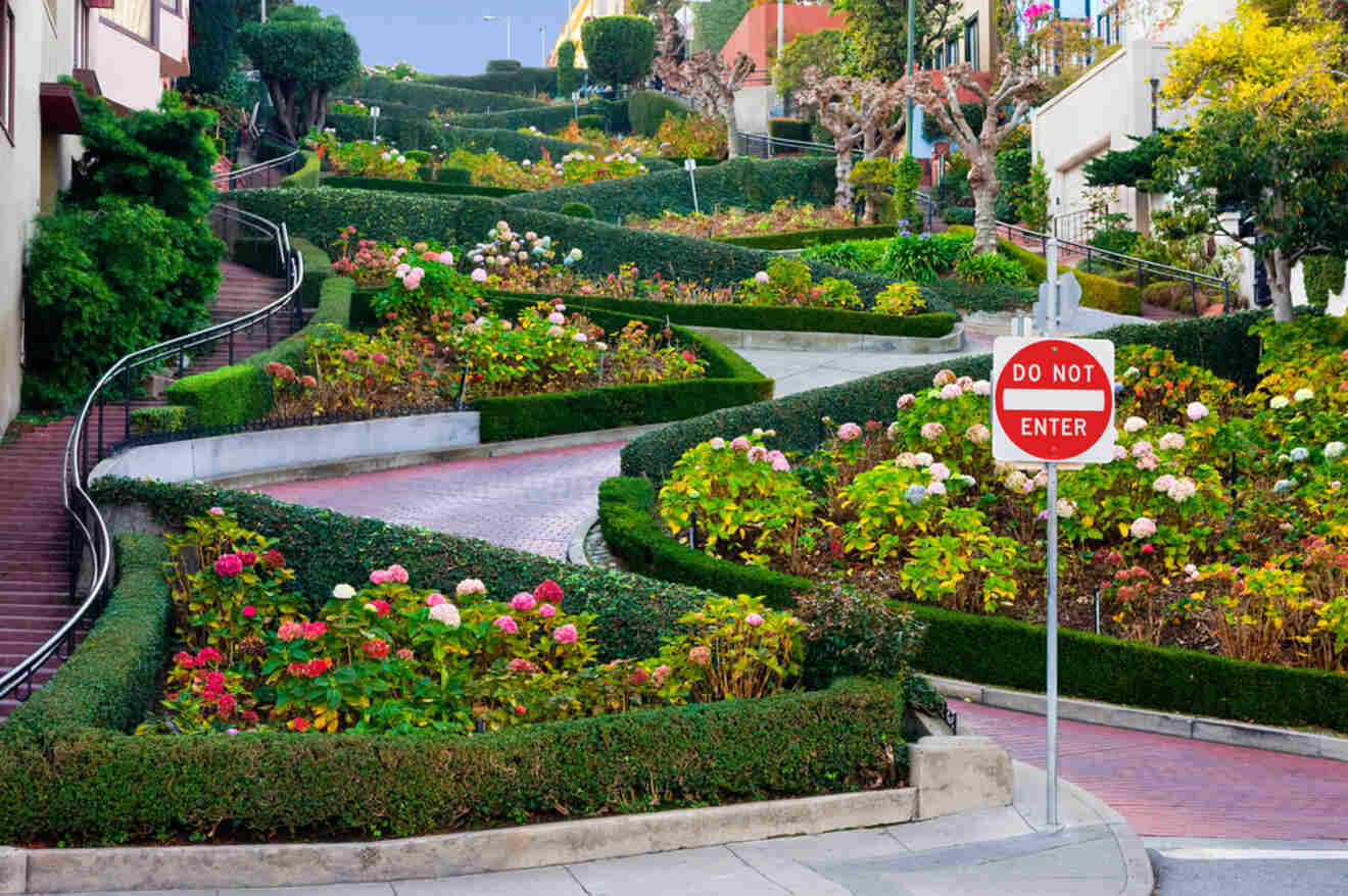 view of a wavy street with flowers