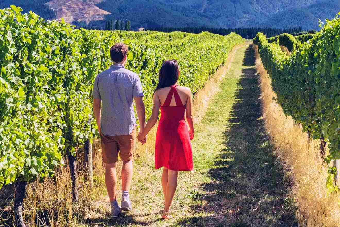 A couple walking through a vineyard
