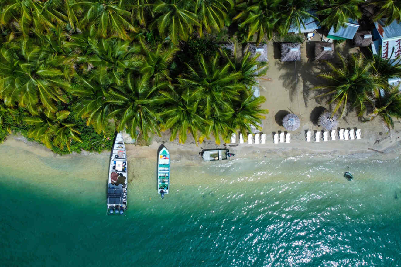An aerial view of a beach with palm trees and a boat.