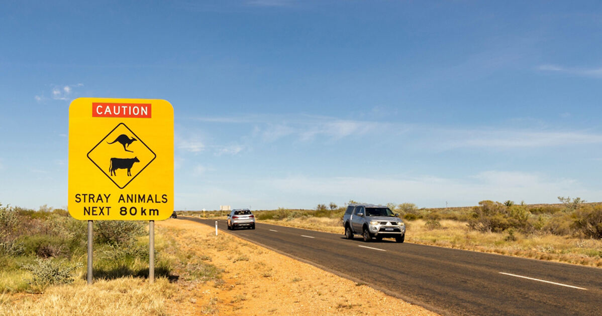 Renting a Car in Australia → 8 Things You Need to Know
