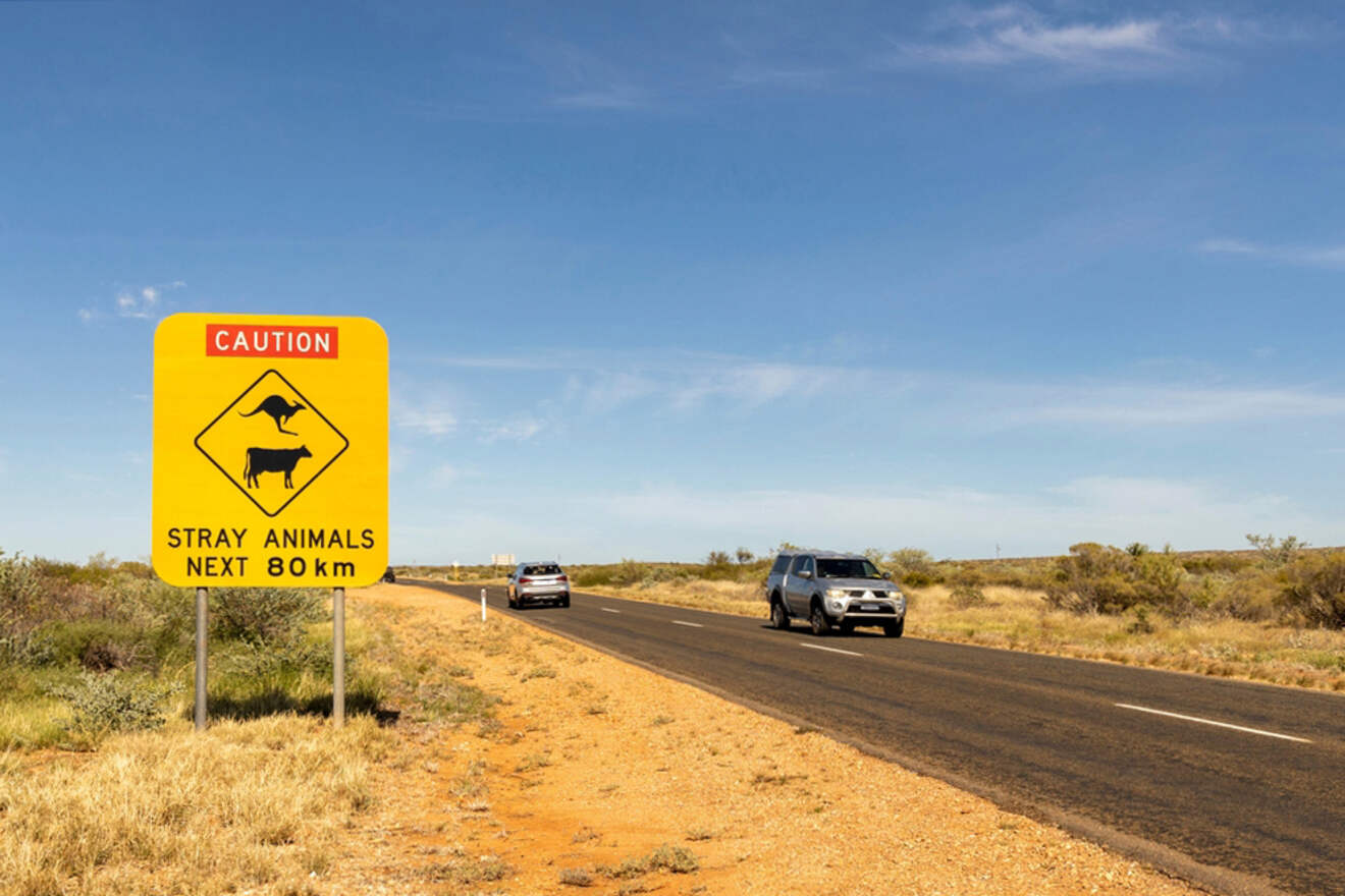 A warning sign saying "CAUTION; Stray animals next 80 km" on a road in the desert