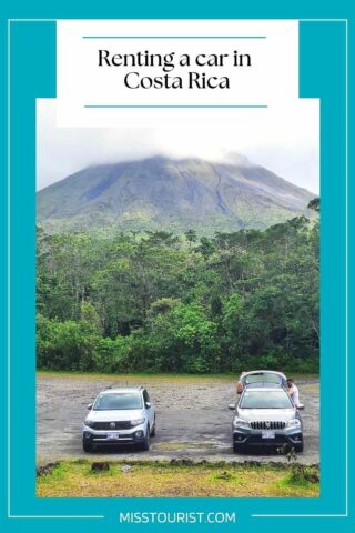 cars parked on a field with trees and volcano in the background