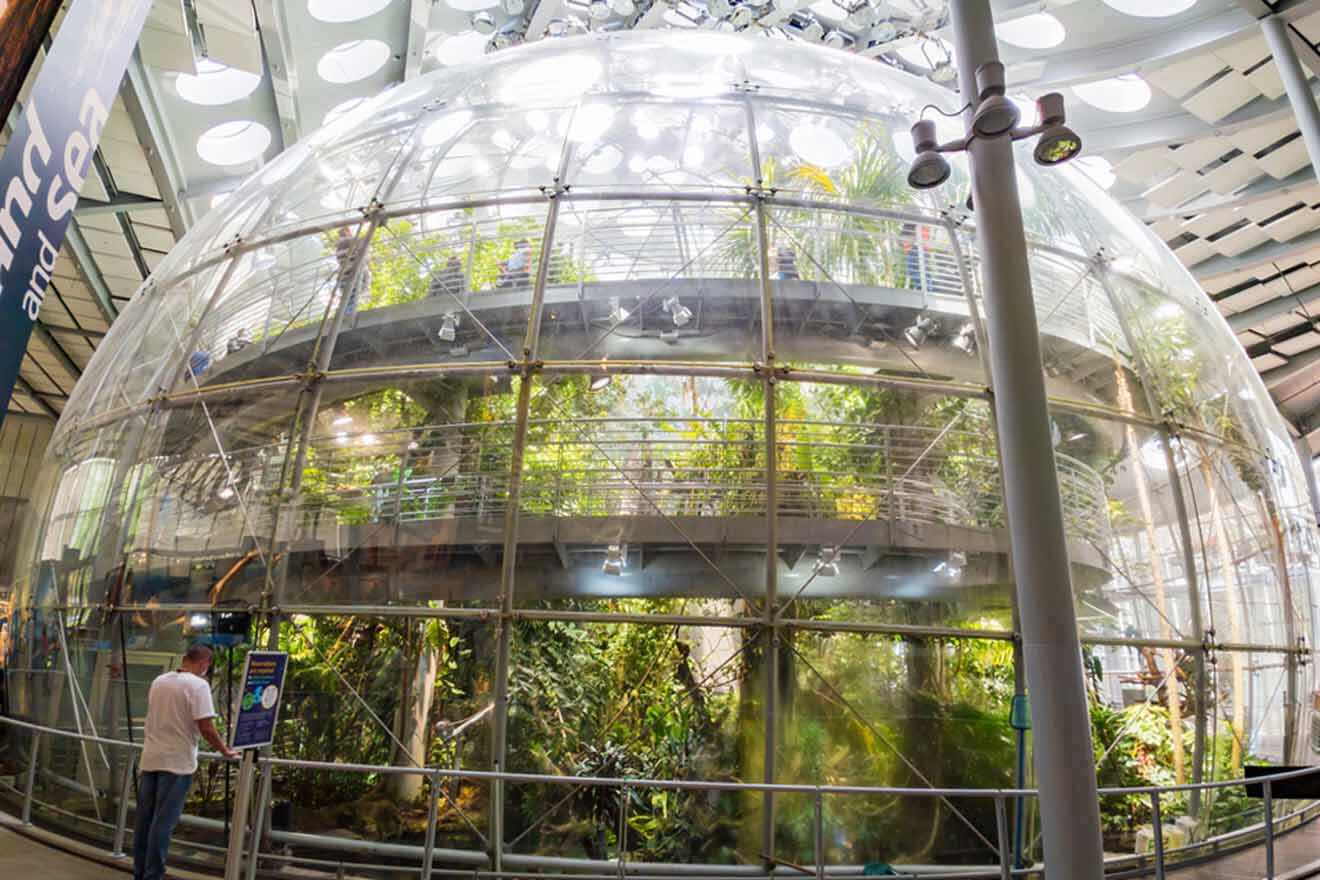 A large glass dome with plants inside.