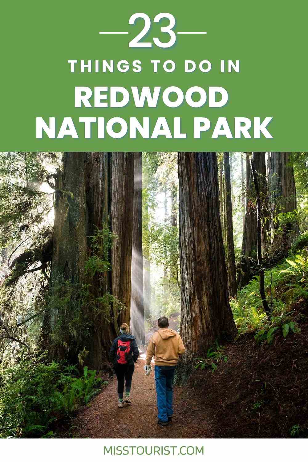 people walking on a trail between tall redwoods