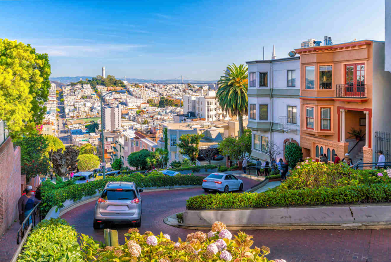 serpentine road near the houses and view of the San Francisco on background