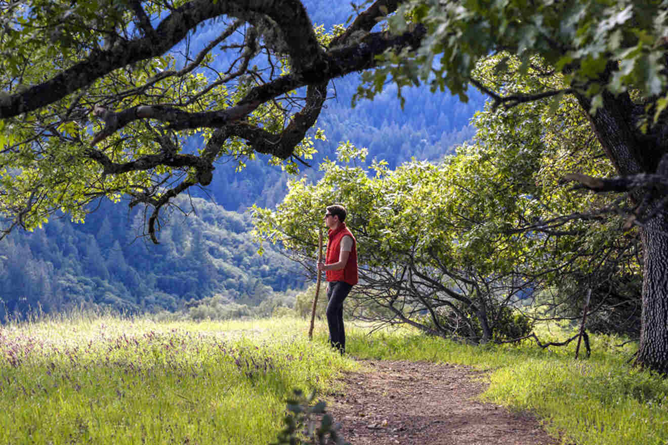 A man standing on a trail in the woods.