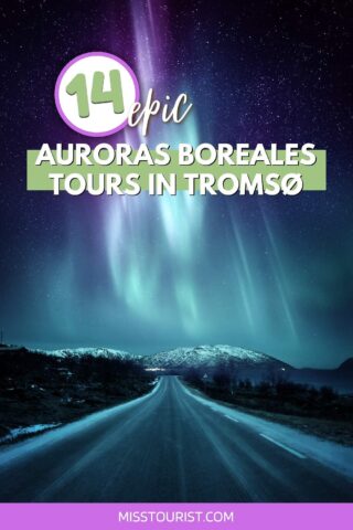 a road leading up to the mountains with aurora borealis on the sky
