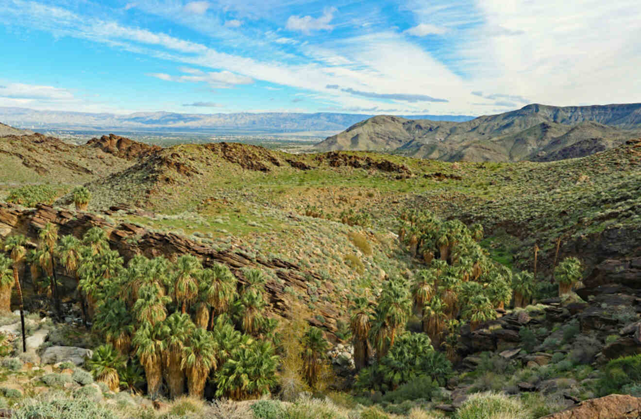 aerial view of a canyon