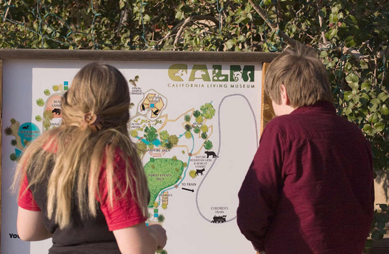 people looking at a zoo map