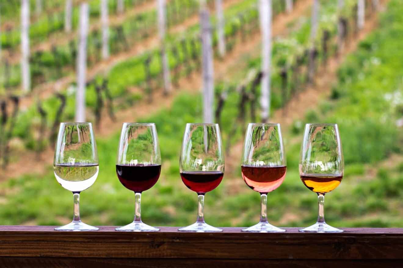 A row of wine glasses in front of a vineyard.