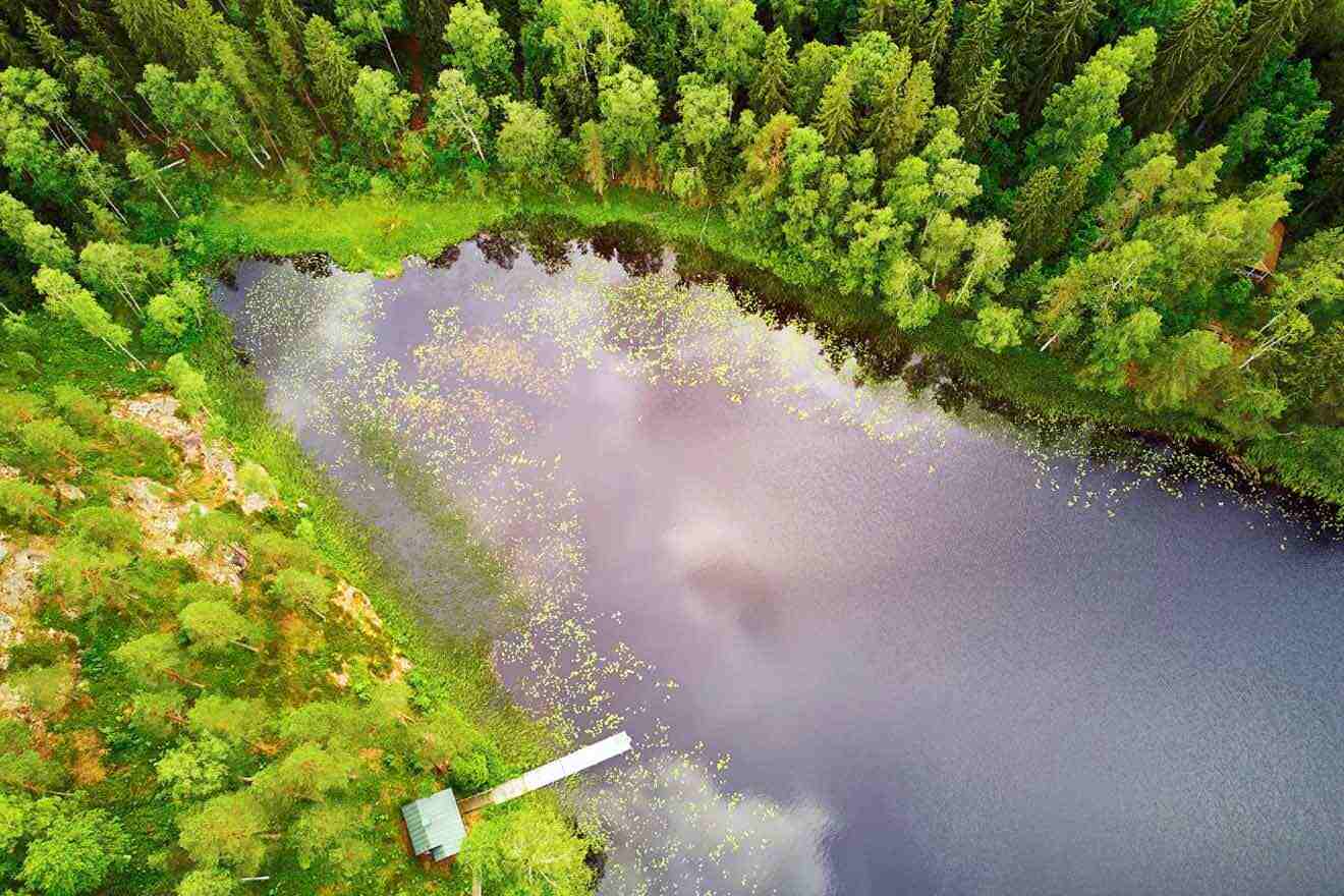 An aerial view of a lake surrounded by trees.