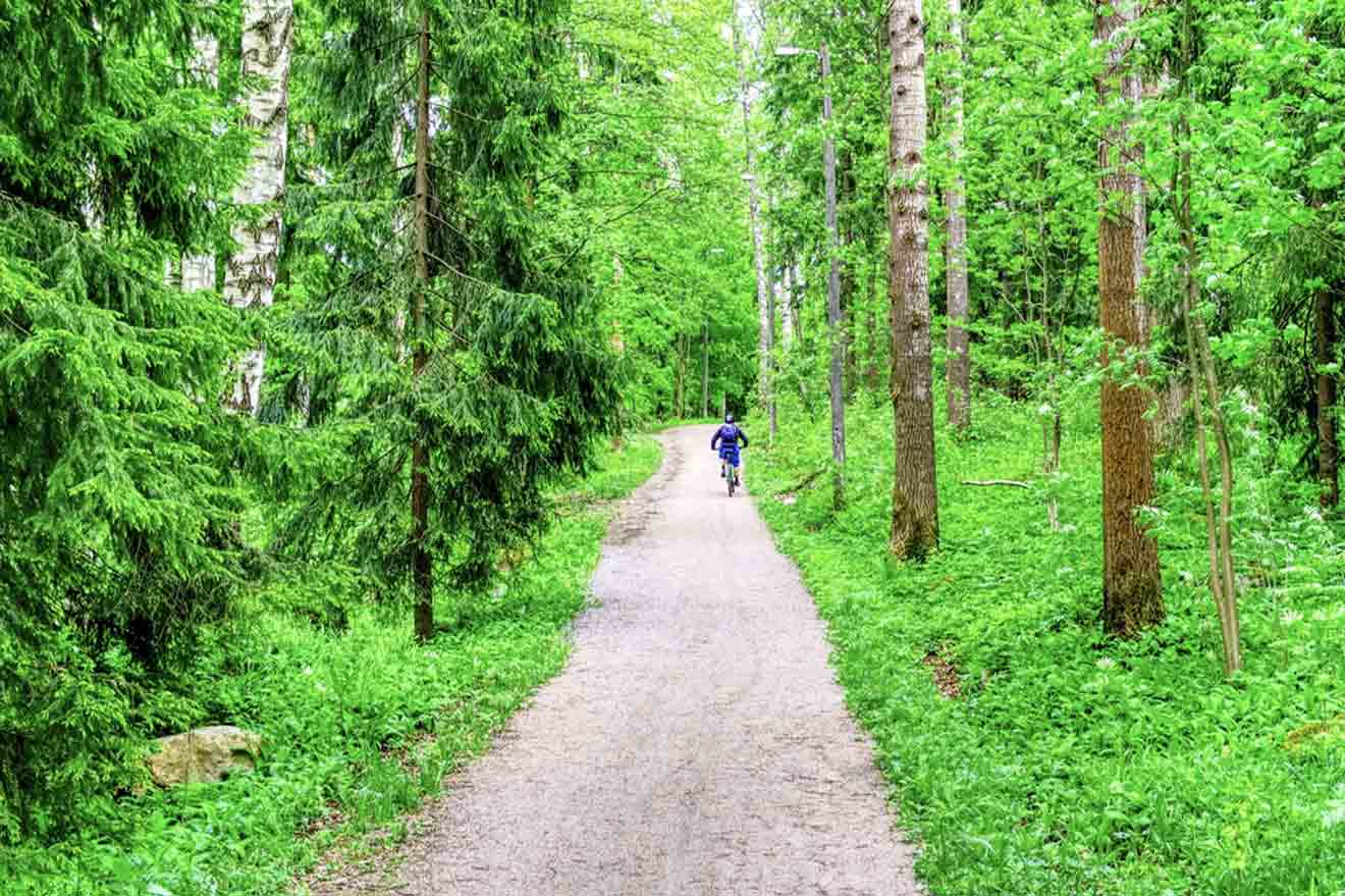 A person is riding a bike on a dirt path in a forest.