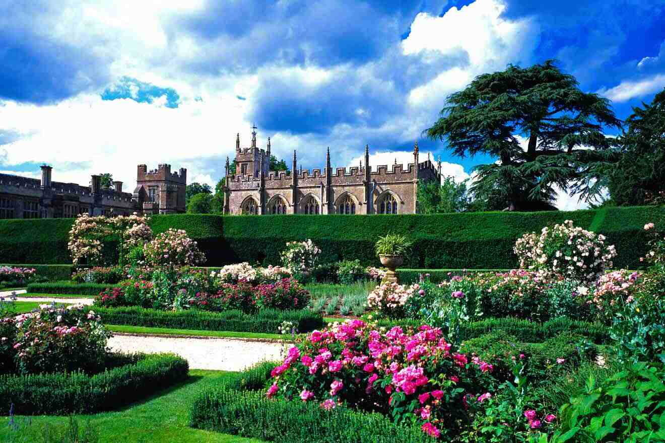 A garden with roses and a castle in the background.