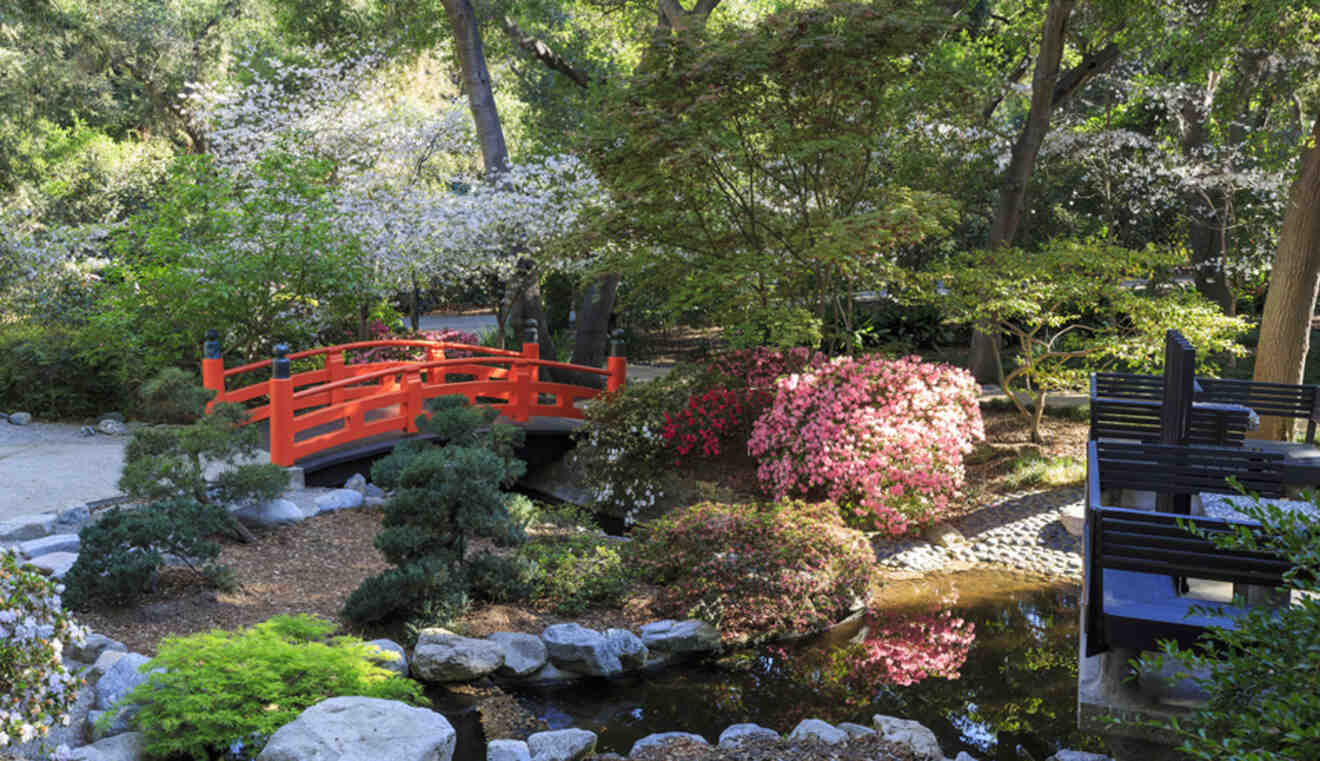 a red bridge crossing over a pond in a garden