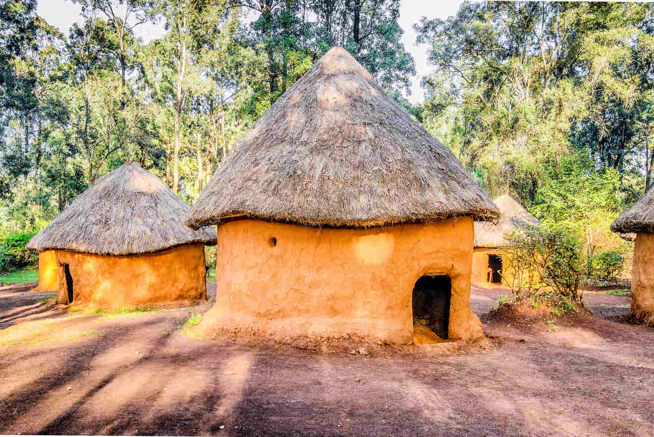 A group of thatched huts in a wooded area.