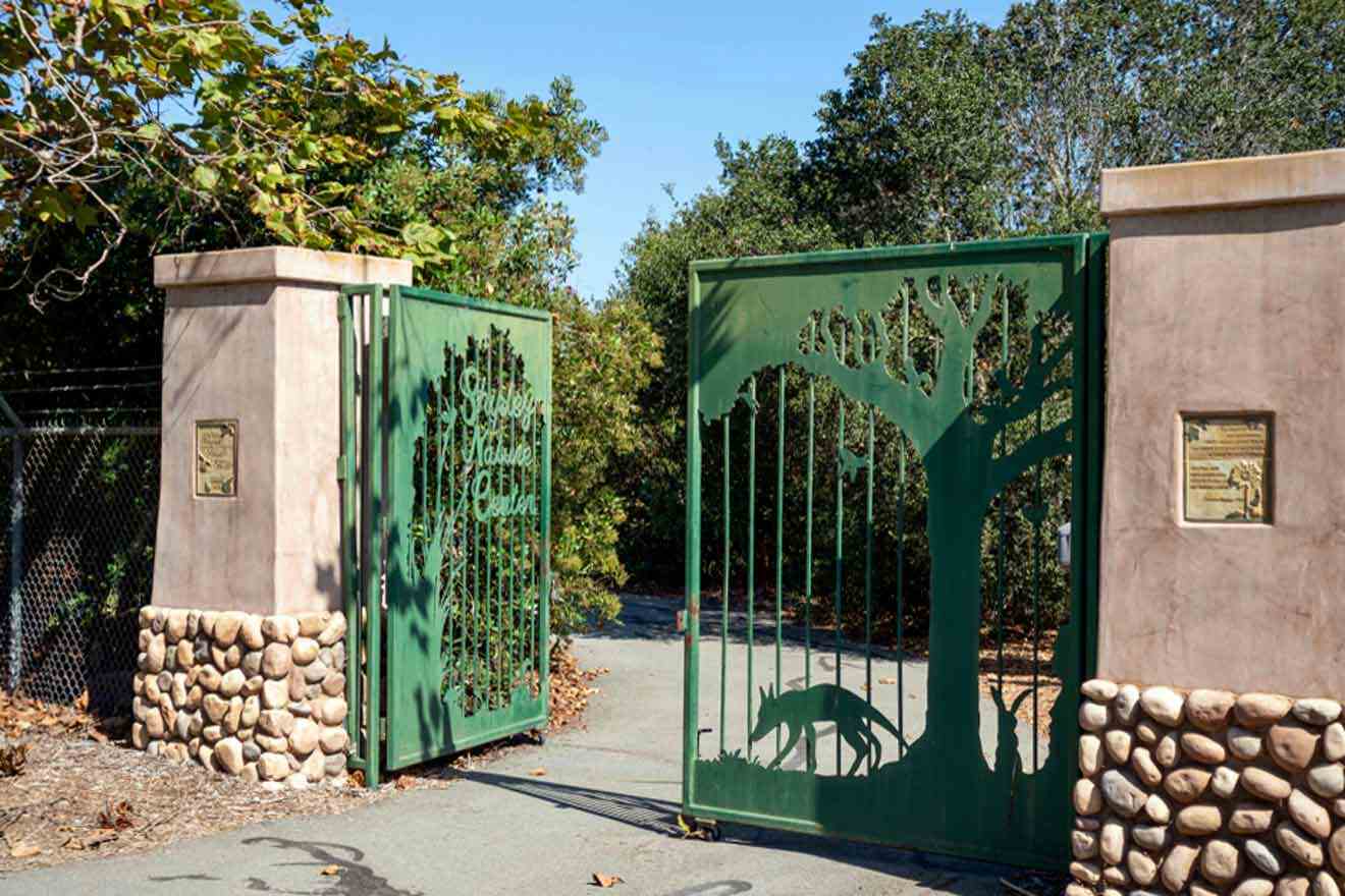 A green gate to the nature center