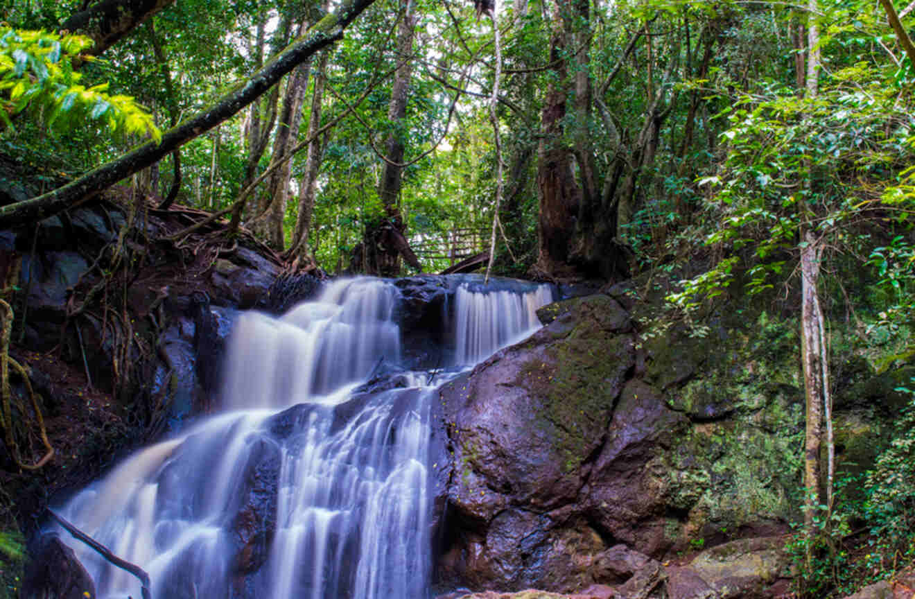 a waterfall in the forest