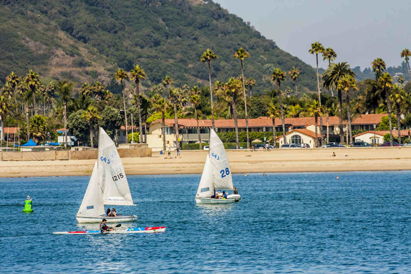 A group of sailboats in the water near a beach.