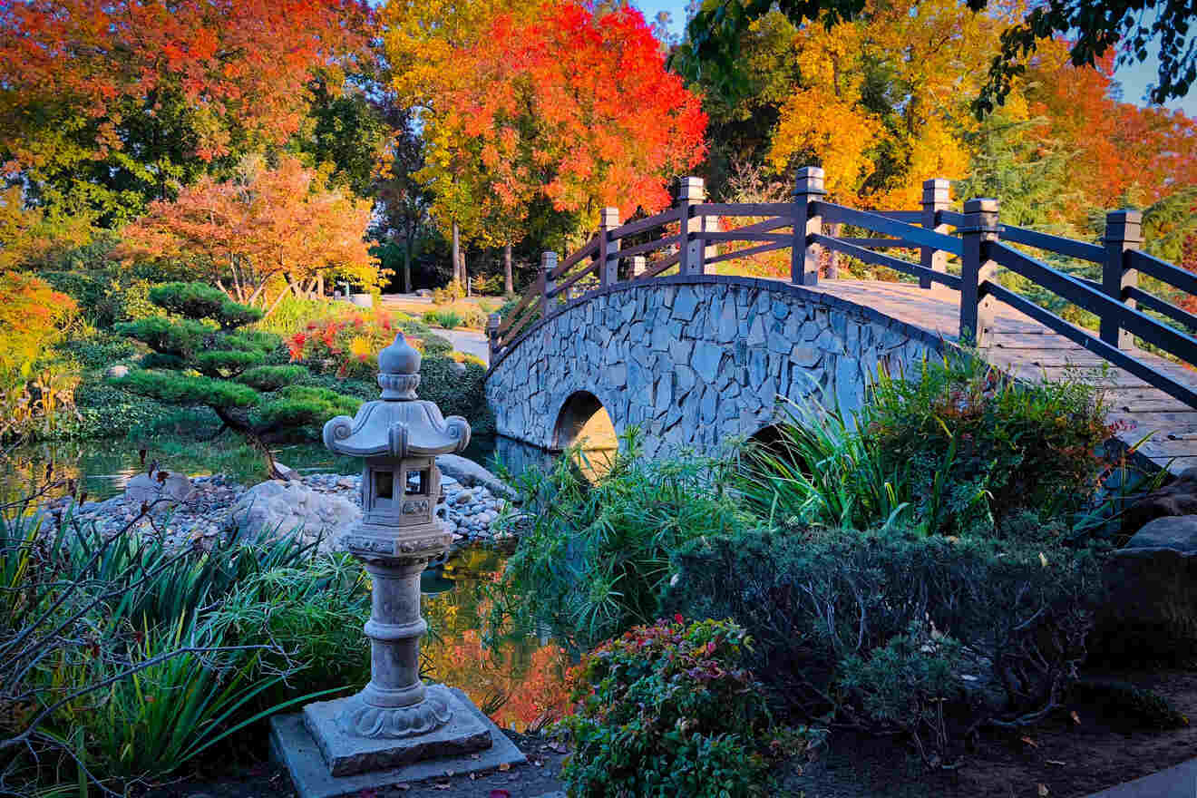 view of a bridge in a park in autumn