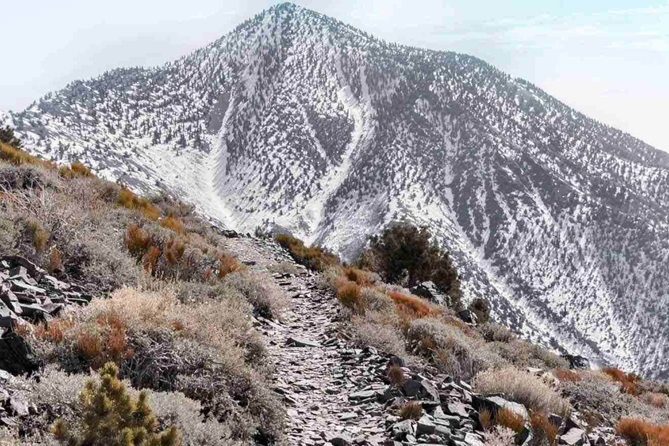 A trail leading up to a mountain covered in snow.