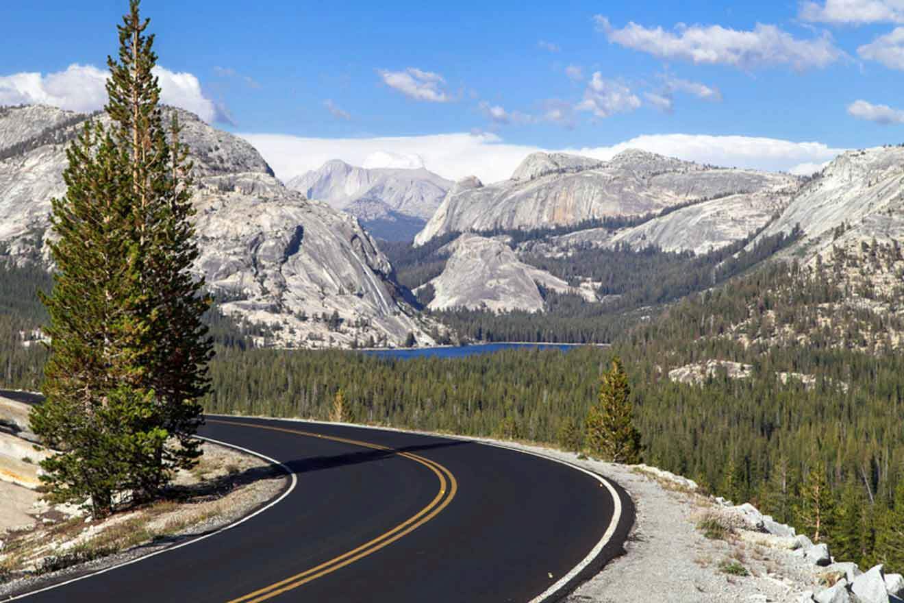A winding road in yosemite national park.