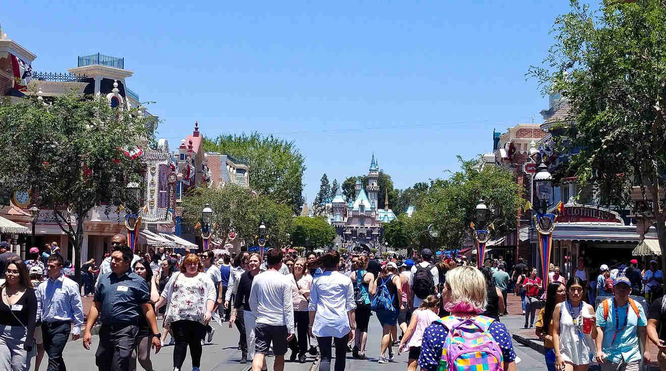 people walking around Disneyland