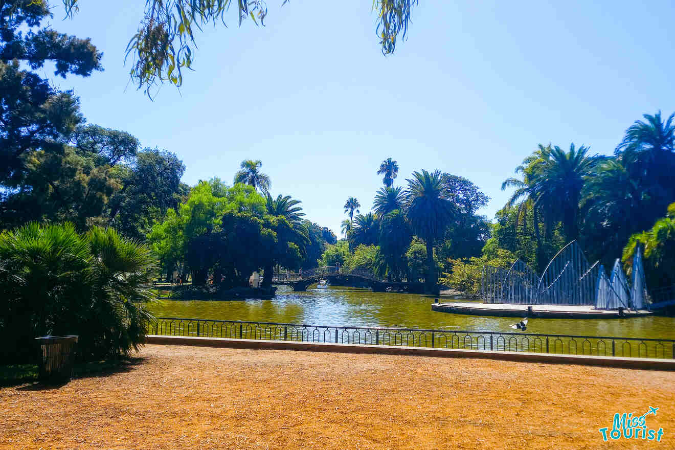 view of a pond in a park