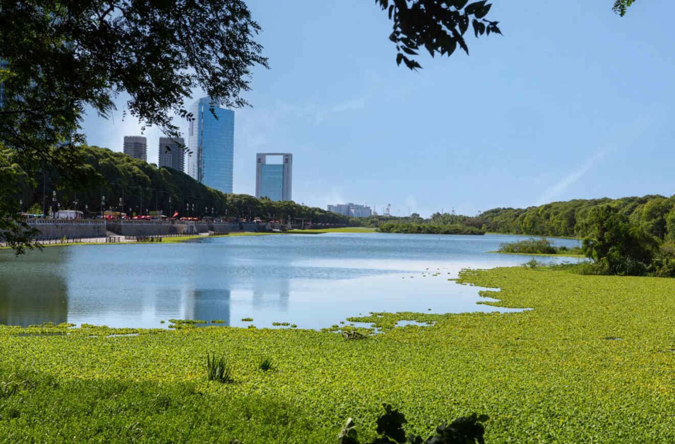 A lake surrounded by tall buildings and green grass.