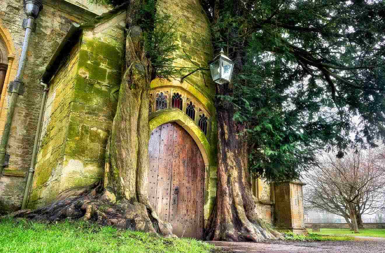 door of a church surrounded by tall trees